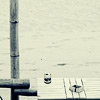 Alone