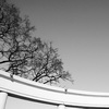 Abstract, alternative, Black & white, minimalistic, geometry, form, line, chiaroscuro, photography