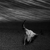 Abstract, alternative, Black & white, minimalistic, geometry, form, line, chiaroscuro, photography