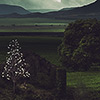 мат пейнтинг, колаж, природа, цветна фотография, експеримент, каменна стена, мрак, арт, концептуална фотография, фотоманиполация, ретуш, българия, провадийско плато, меч, исус христос, дървета, поле, овце