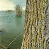Nature, landscape, sky, clouds, sea, sand, coast, stone, rock, flowers, seasons, photo, image, picture, color, lake, autumn