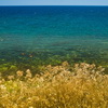 Nature, landscape, sky, clouds, sea, sand, coast, stone, rock, flowers, seasons, photo, image, picture, color, summer