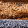 Nature, landscape, sky, clouds, sea, sand, coast, stone, rock, flowers, seasons, photo, image, picture, color, summer