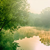 Nature, landscape, sky, tree, sunset, flowers, seasons, photo, image, picture, color, lake, summer