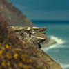 Autumn Photography on Horn Emine Bulgaria 