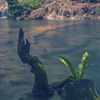 Color Photography - Krushuna Waterfall