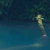 Color Photography - Krushuna Waterfall