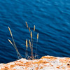 Nature, landscape, sky, clouds, sea, sand, coast, stone, rock, flowers, seasons, photo, image, picture, color, summer