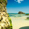 Nature, landscape, sky, clouds, sea, sand, coast, stone, rock, flowers, seasons, photo, image, picture, color, summer