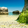 Nature, landscape, sky, clouds, sea, sand, coast, stone, rock, flowers, seasons, photo, image, picture, color, summer