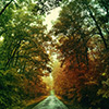 Nature, landscape, road, leaves, asphalt, green, orange red, trees, flowers, seasons, photo, image, picture, color, autumn, bulgaria, razgrad, ludogorie, cherkovna