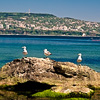 Nature, landscape, sky, clouds, sea, sand, coast, stone, rock, flowers, seasons, photo, image, picture, color, summer