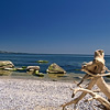 Nature, landscape, sky, clouds, sea, sand, coast, stone, rock, flowers, seasons, photo, image, picture, color, summer