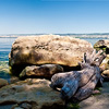 Nature, landscape, sky, clouds, sea, sand, coast, stone, rock, flowers, seasons, photo, image, picture, color, summer
