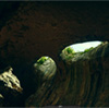 Color Cave Photography - Cave Prohodna
