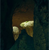 Color Cave Photography - Cave Prohodna
