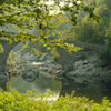 The Devil bridge color photography