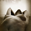 Nude, fine, erotic, Photography, art, girl, Varna, Bulgaria
